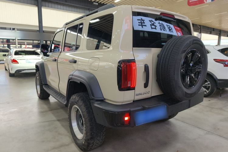 Used Tank 300 2025 2.4T Diesel Version
