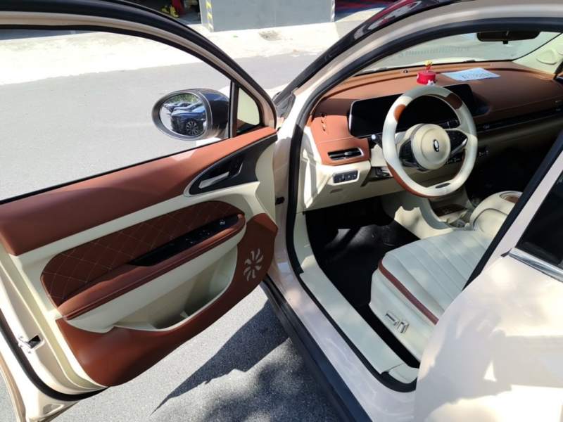 Used ORA Good Cat 2024 401 km Luxury Version — 15