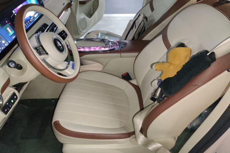 Used ORA Ballet Cat 2022 500 km Swan Lake Edition