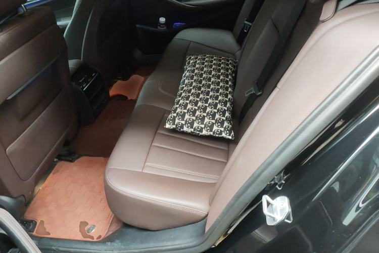 Used BMW 5 Series 2020 525Li Luxury Package Left Rear Seat