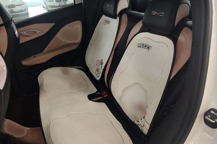 Used BYD Seagull 2024 Honor Edition 305km Dynamic Version Left Rear Seat