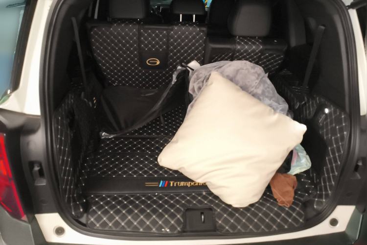 Used GAC Trumpchi GS8 2022 Dual-Engine Series 2.0TM Two-Wheel Drive Prestige Edition (7 Seats)
