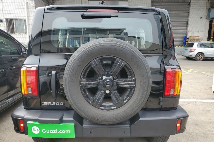 Used Tank 300 2025 2.0T Conqueror