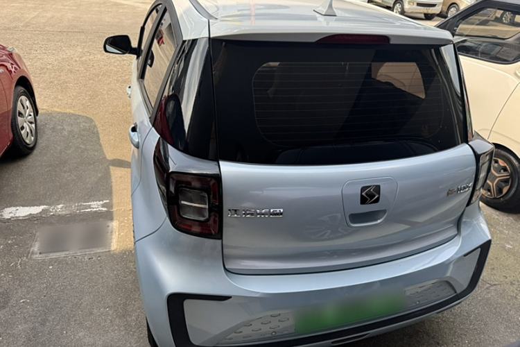 Used SOL E10X 2022 Flower Fairy Design Four-Leaf Clover