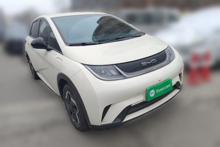 Used BYD Dolphin 2021 405 km Free Version