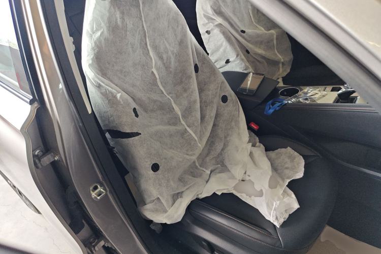 Used Roewe RX5 New Energy 2023 eRX5 Super Hybrid Premium Edition Right Front Seat