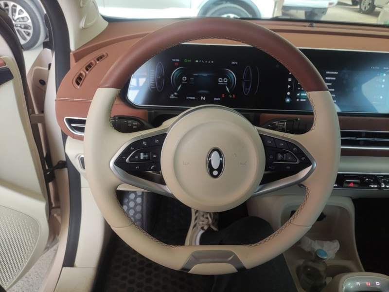 Used ORA Good Cat 2022 Morandi Edition 400km Standard Range Luxury Version Lithium-Ion Battery — 10