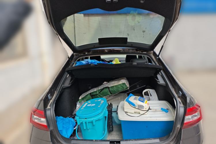 Used Skoda Octavia 2018 1.6L Automatic Luxury Edition Trunk