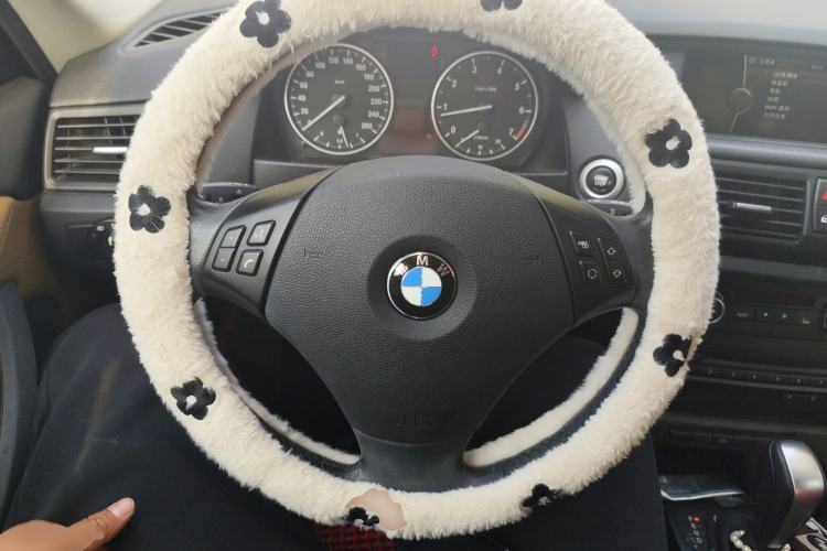 Used BMW X1 2010 sDrive18i Luxury Model
