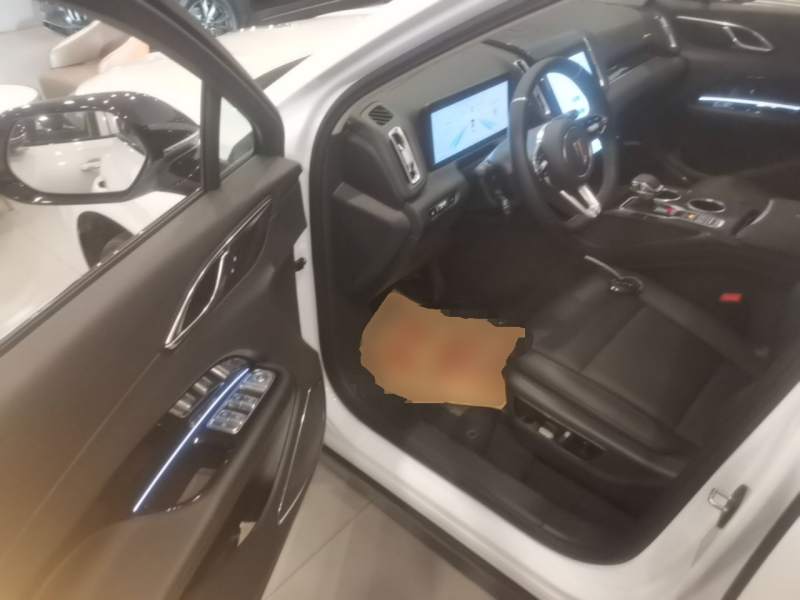 Used Hongqi HS3 PHEV 2025 Model 125km Jingwei 2 Millionth Anniversary Edition — 15