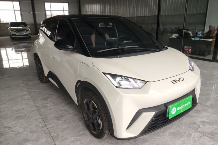 Used BYD Seagull 2025 305 km Free Version
