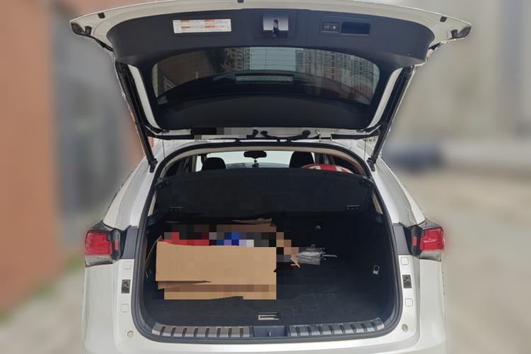 Used Lexus NX 2018 200 All-Wheel Drive Fēngshàng Version China V Standard