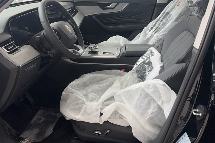 Used Hongqi HS5 2025 2.0T Two-Wheel Drive 600 000-Vehicle Commemorative Edition
