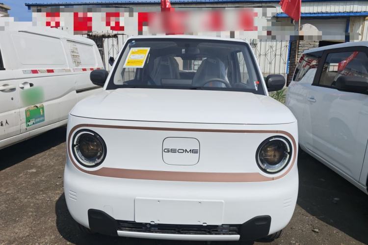 Used Geely Galaxy Panda 2024 Panda Mini 200km Endurance Bear Front