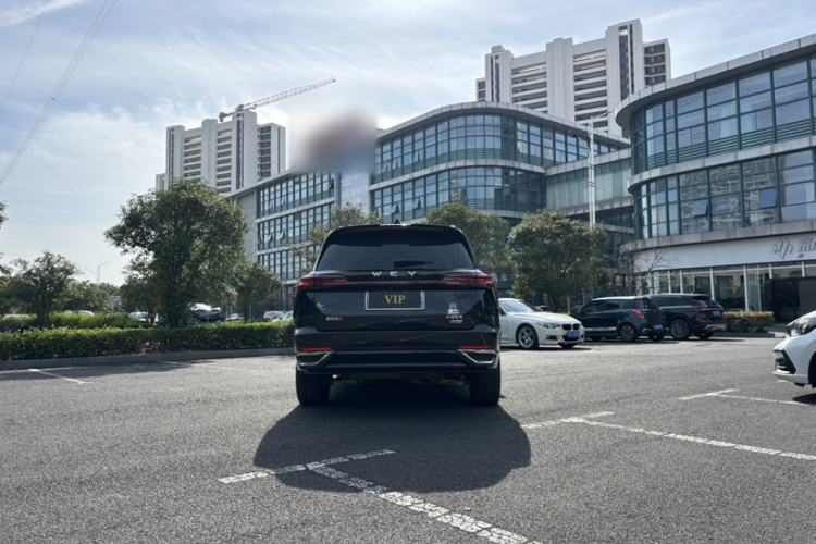 Used Wey Lanshan 2023 Four-Wheel Drive Ultra-Long Range Version