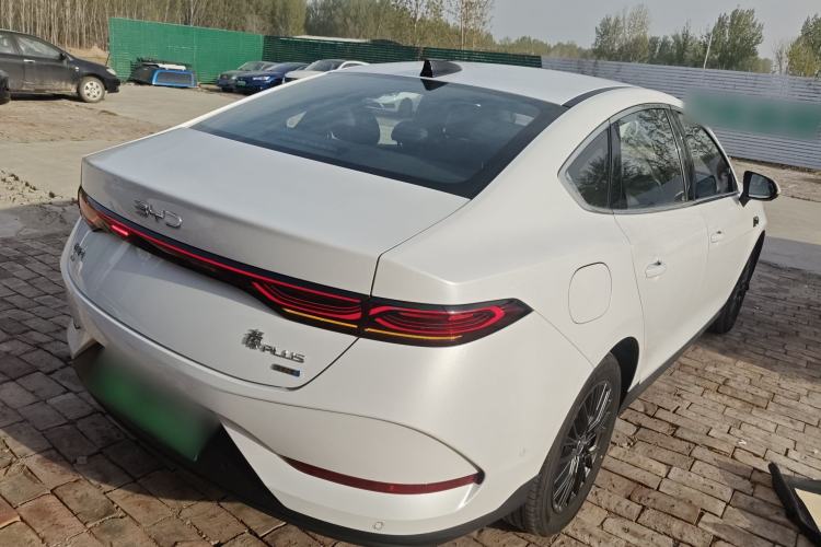 Used BYD Qin PLUS 2025 EV Smart Drive Edition 510KM Leading Model Rear Right 45 Deg