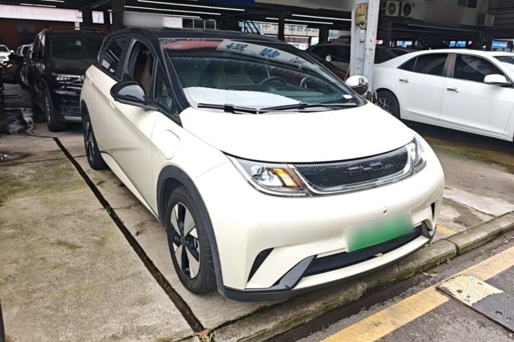 Used BYD Dolphin 2023 420 km Free Version