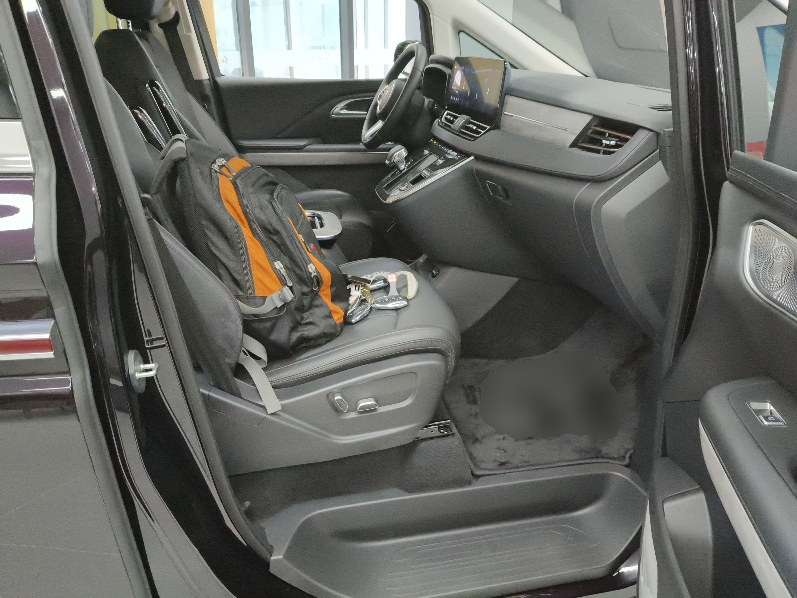 Hongqi HQ9 PHEV 2024 2.0T Four-Wheel Drive Business Edition — снимка 19