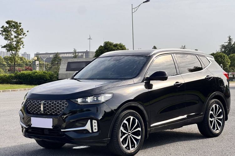 Used Wey VV6 2021 2.0T Two-Wheel Drive Smart Protection+