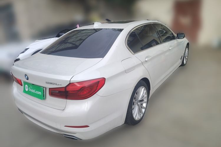 Used BMW 5 Series New Energy 2020 530Le Luxury Package