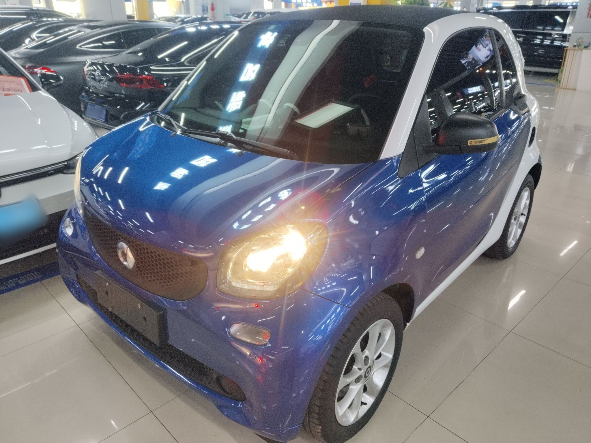 Parte inferior delantera