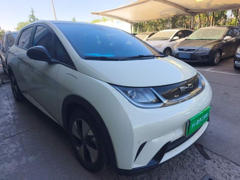 Used BYD Dolphin 2023 420 km Fashion Edition — 3