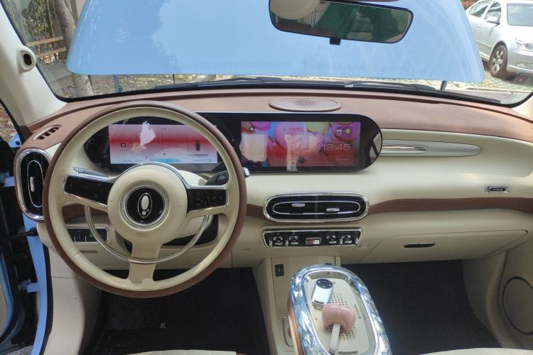 Used ORA Ballet Cat 2023 401 km Luxury Version
