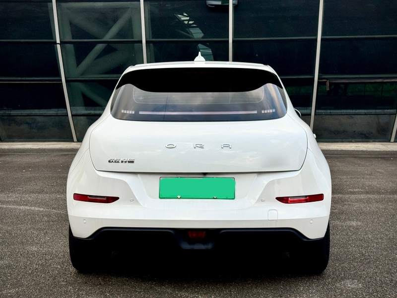 Used ORA Good Cat 2024 401 km Luxury Version — 14