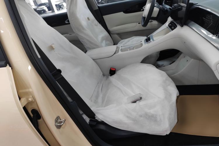 Used Geely Galaxy Geome 2026 Model 310km Dream Edition Right Front Seat