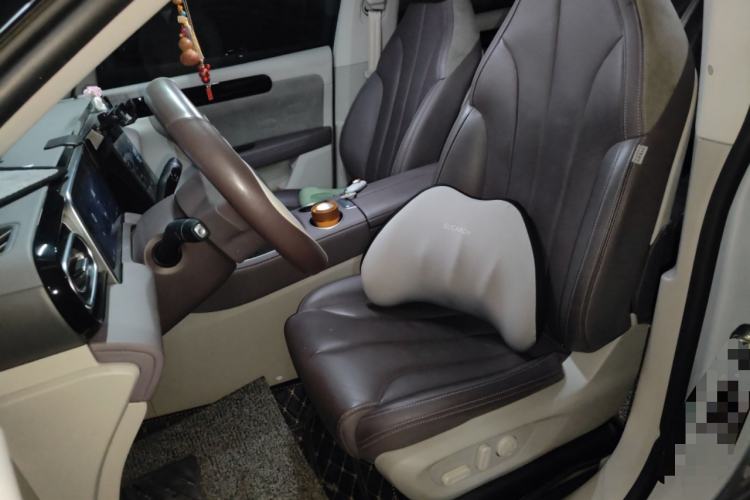 Used Leapmotor C11 2023 Pure Electric 500 Comfort Edition