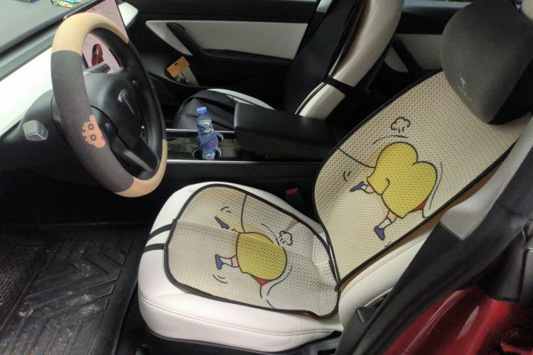 Used Tesla Model 3 2020 Standard Range Rear-Wheel Drive Upgraded Version Left Front Seat