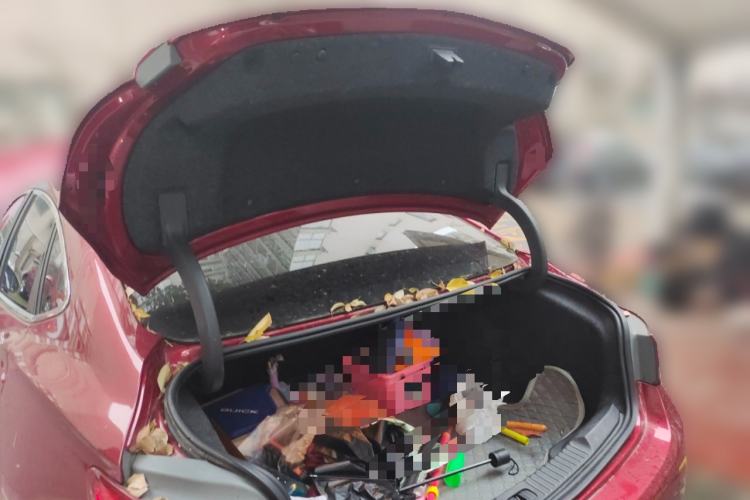 Used Buick Verano 2019 Sedan 15S Automatic Leading Model Trunk