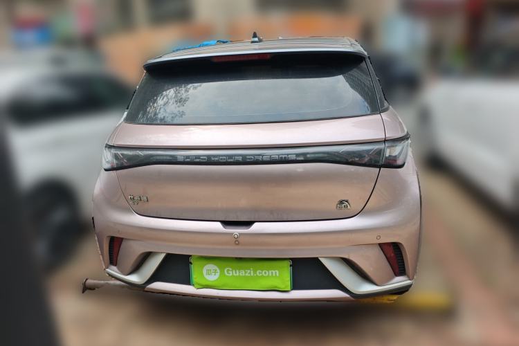 Used BYD Dolphin 2021 405 km Fashion Edition Rear