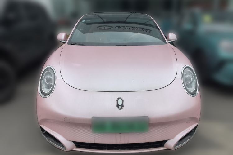 Used ORA Lightning Cat 2022 600 km All-Wheel Drive High-Performance Version Front