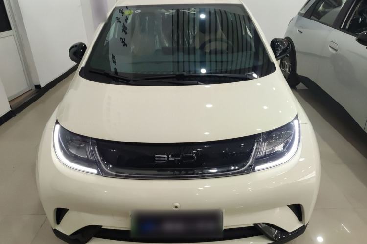 Used BYD Dolphin 2025 420km Free Edition
