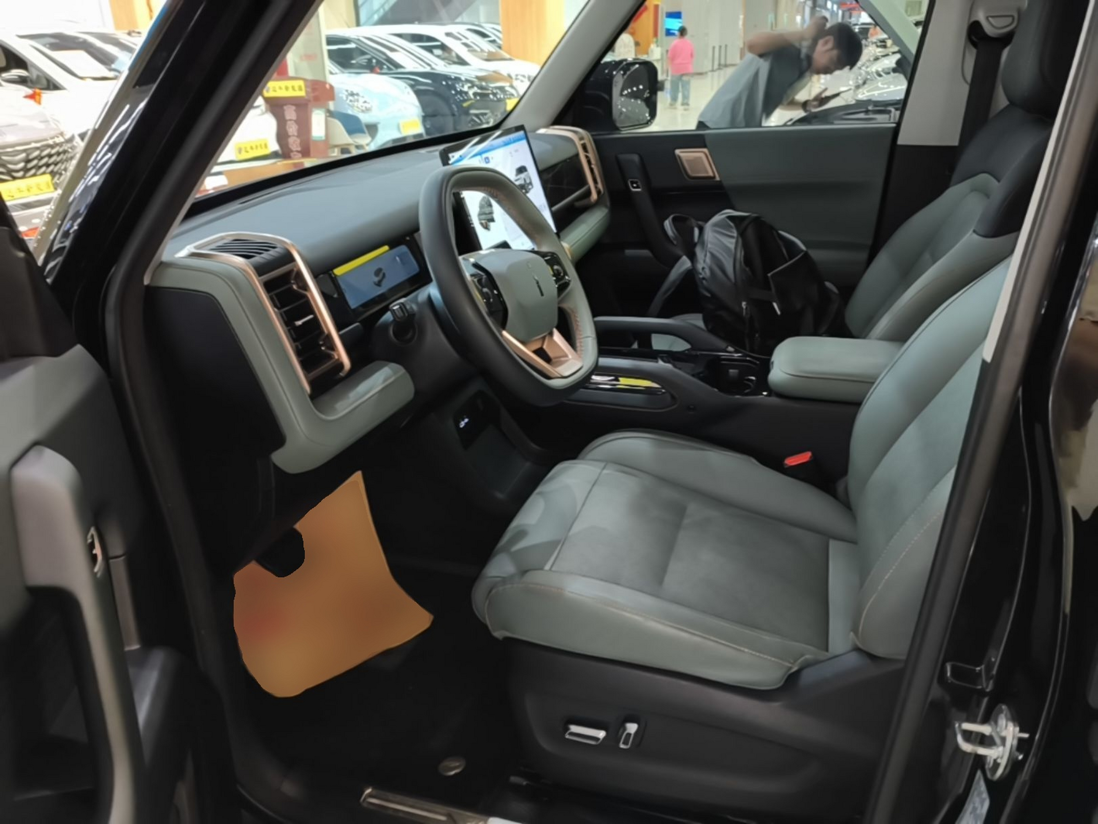 Interior delantero
