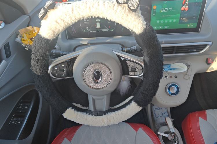 Used ORA White Cat 2020 305 km Luxury Version
