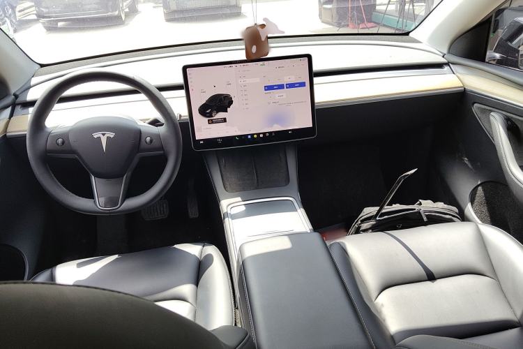 Used Tesla Model Y 2021 Standard Range Rear-Wheel Drive Version
