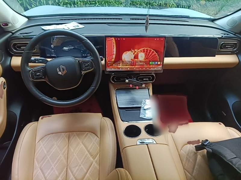 Used Leapmotor C11 2024 All-Electric 580 Luxury Edition — 9