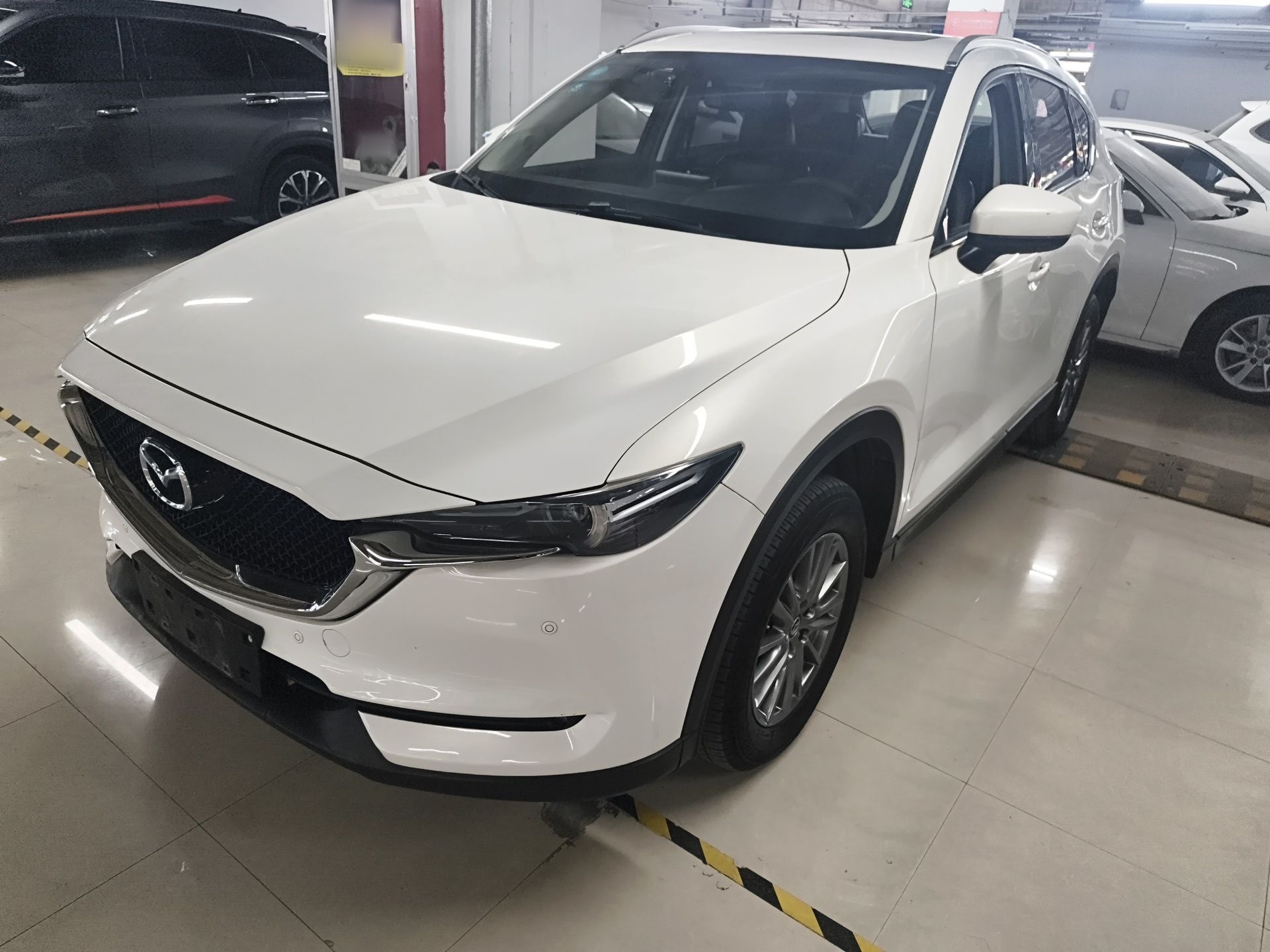 Parte inferior delantera