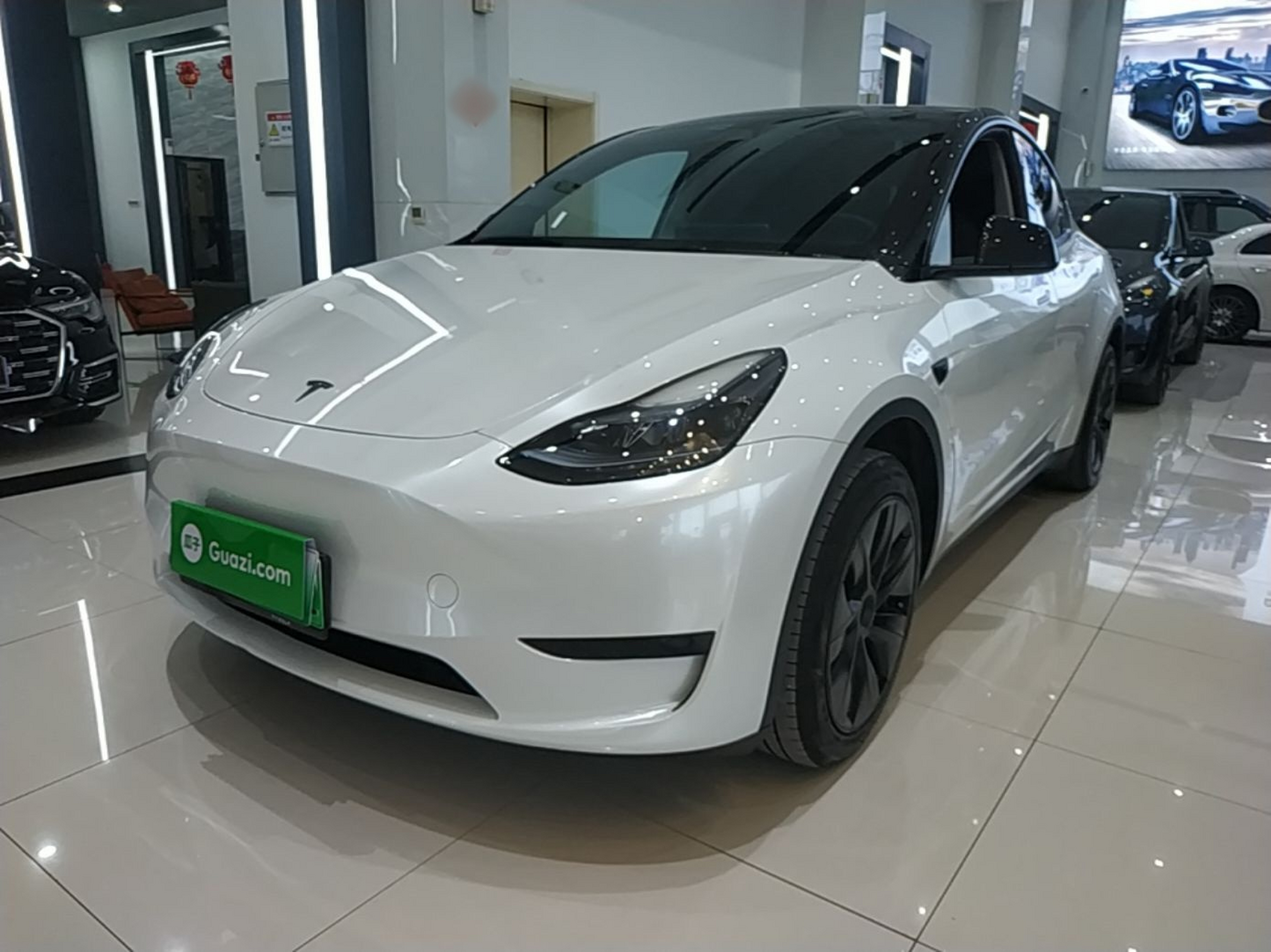 Under Front Bumper