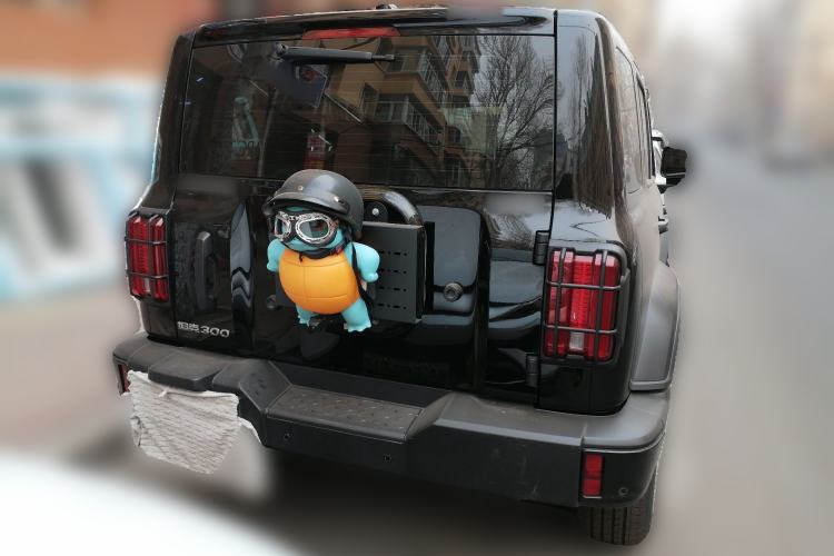 Used Tank 300 2024 2.0T Conqueror