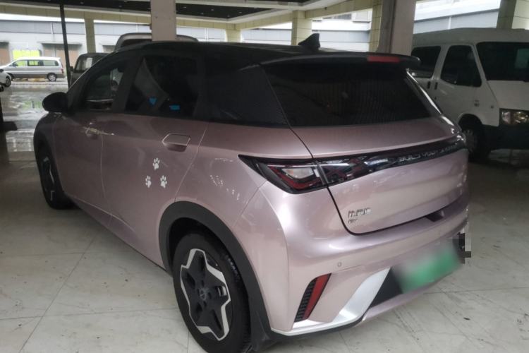 Used BYD Dolphin 2021 405 km Fashion Edition