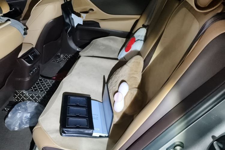 Used Lexus ES 2020 260 Excellence Edition Left Rear Seat