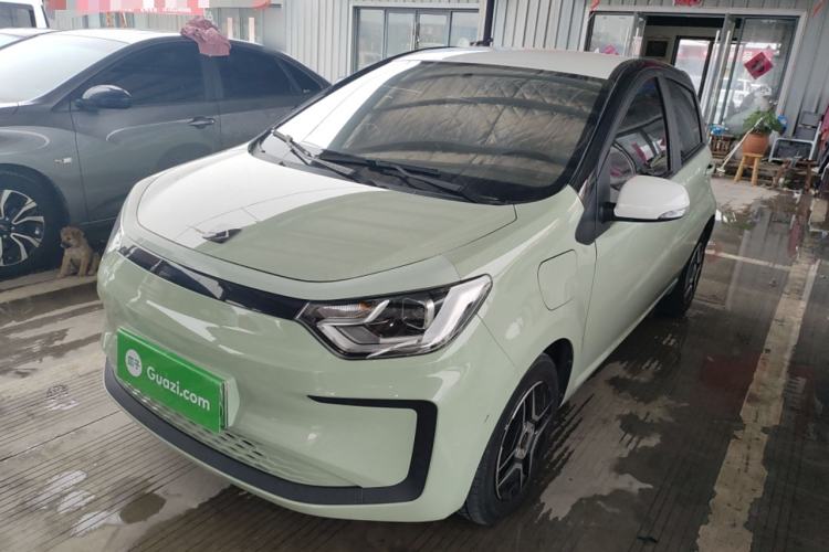 Used SOL E10X 2022 Flower Fairy Design Four-Leaf Clover