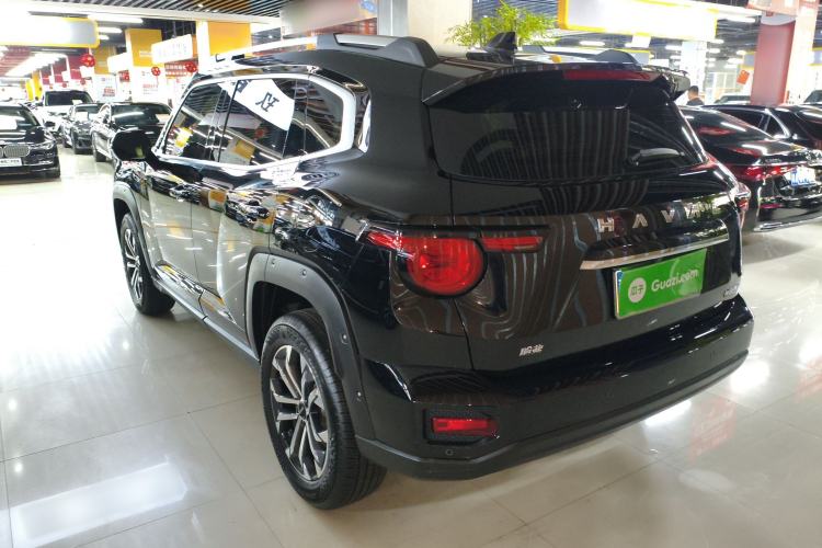 Used Haval H Dog 2023 2.0T Two-Wheel Drive Chaoye Version Plus Rear Left 45 Deg