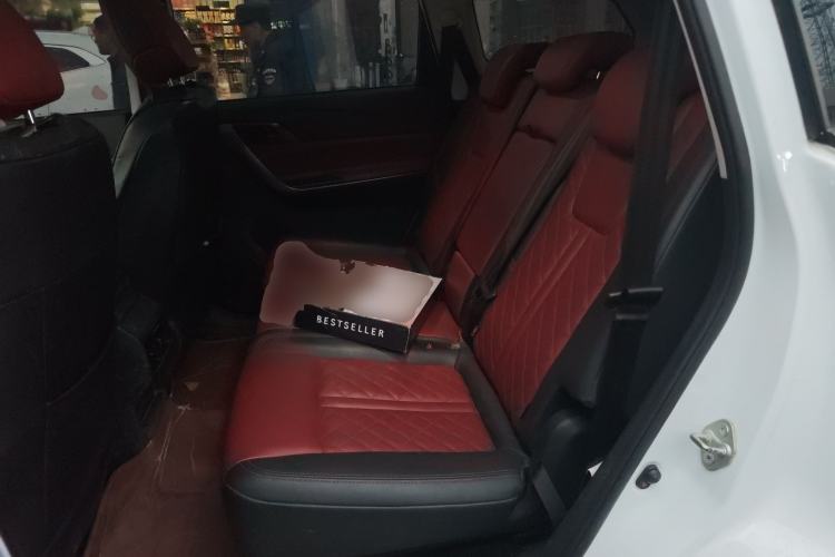 Used FORTHING T5L 2020 1.5T Automatic Luxury 7-Seater China VI Standard Left Rear Seat