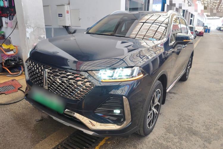 Used Wey Latte DHT-PHEV 2022 1.5T Four-Wheel Drive Extra-Large Version