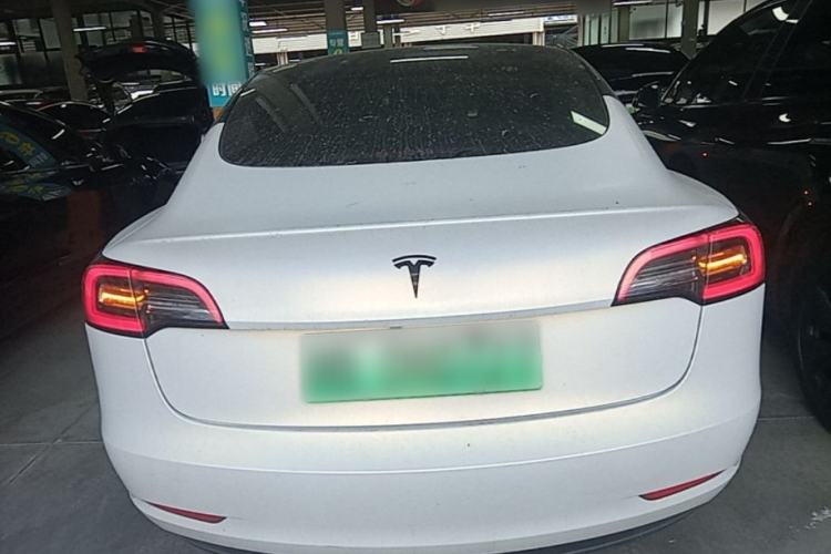 Used Tesla Model 3 2021 Standard Range Rear-Wheel Drive Upgraded Version 3D6
