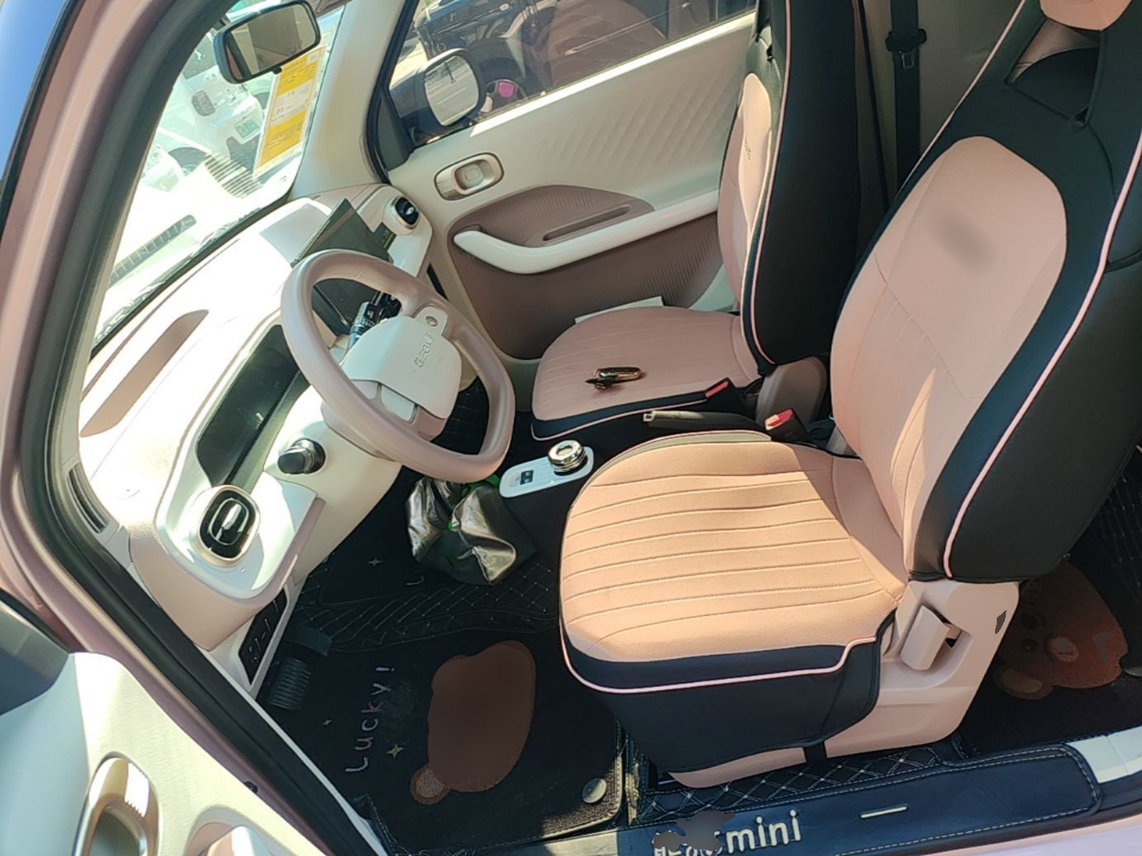 Interior delantero